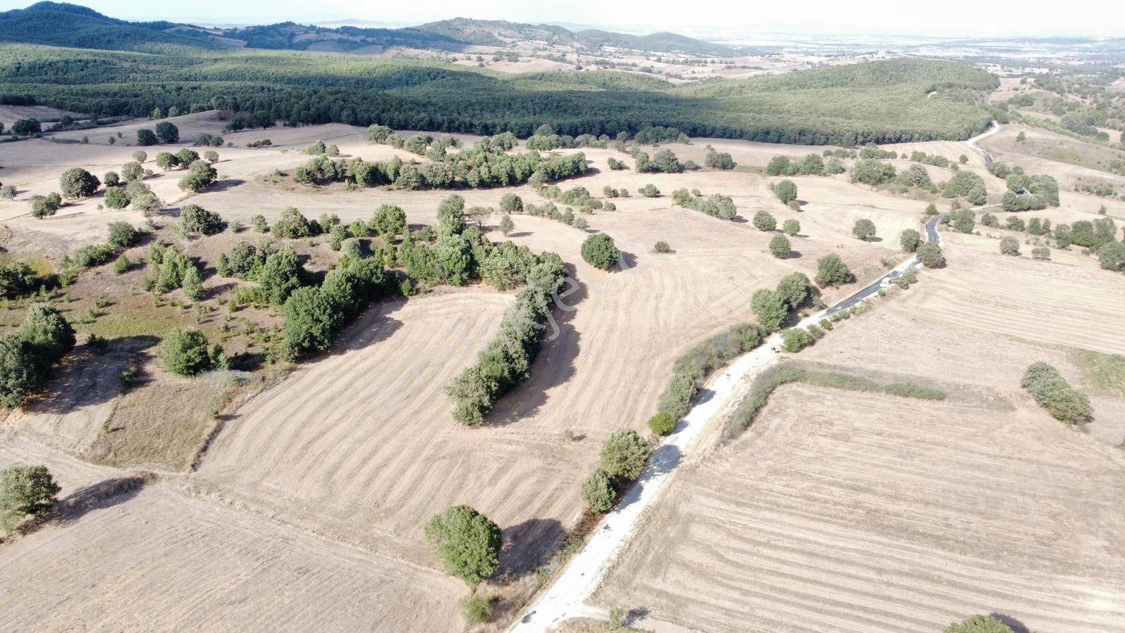 Biga Harmanlı Köyü Satılık Tarla BİGA HARMANLIDA SATILIK ARAZİ 