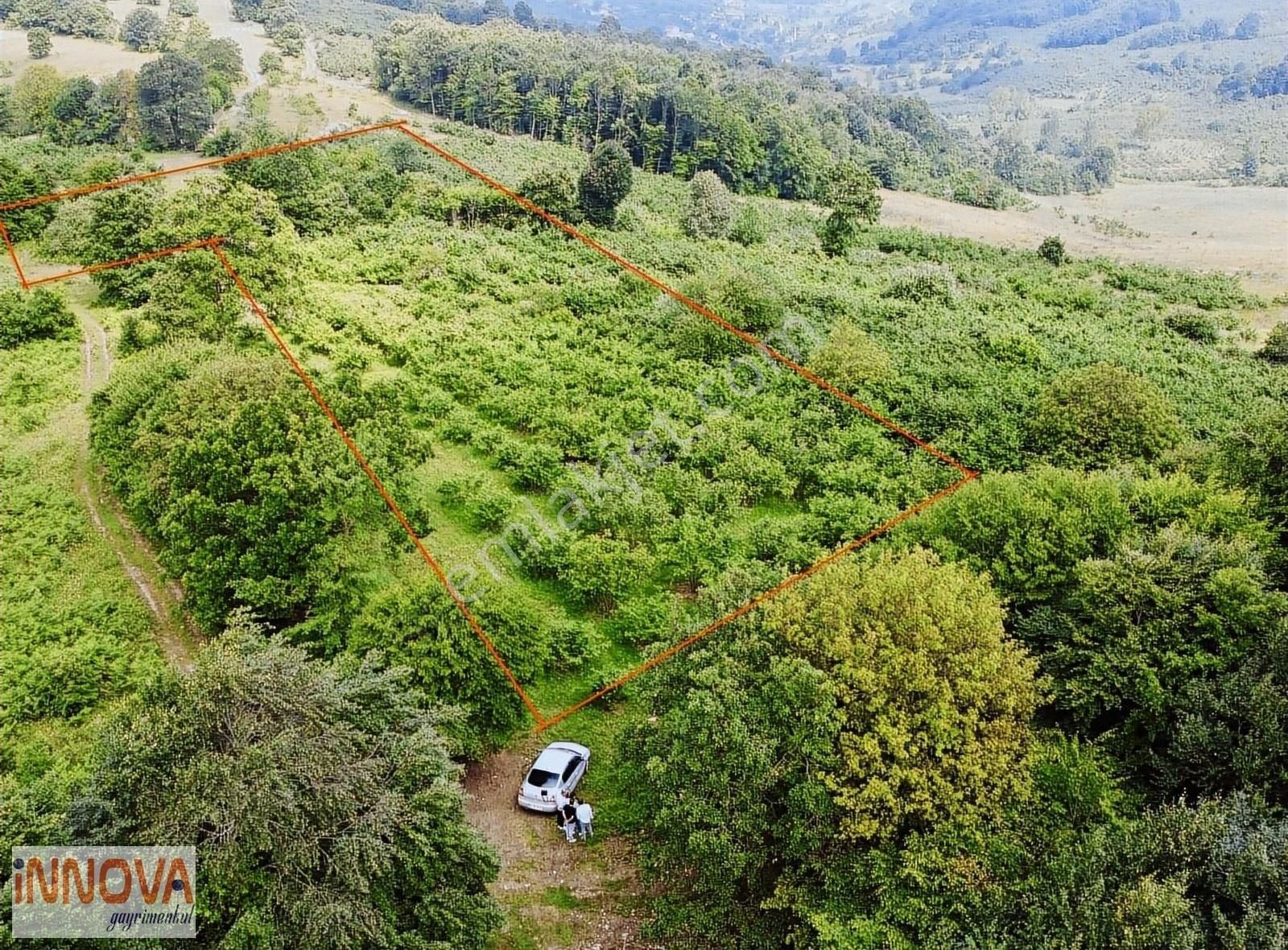 Kandıra Eğirceli %5 İmarlı Fırsat Arsa - Görsel 3
