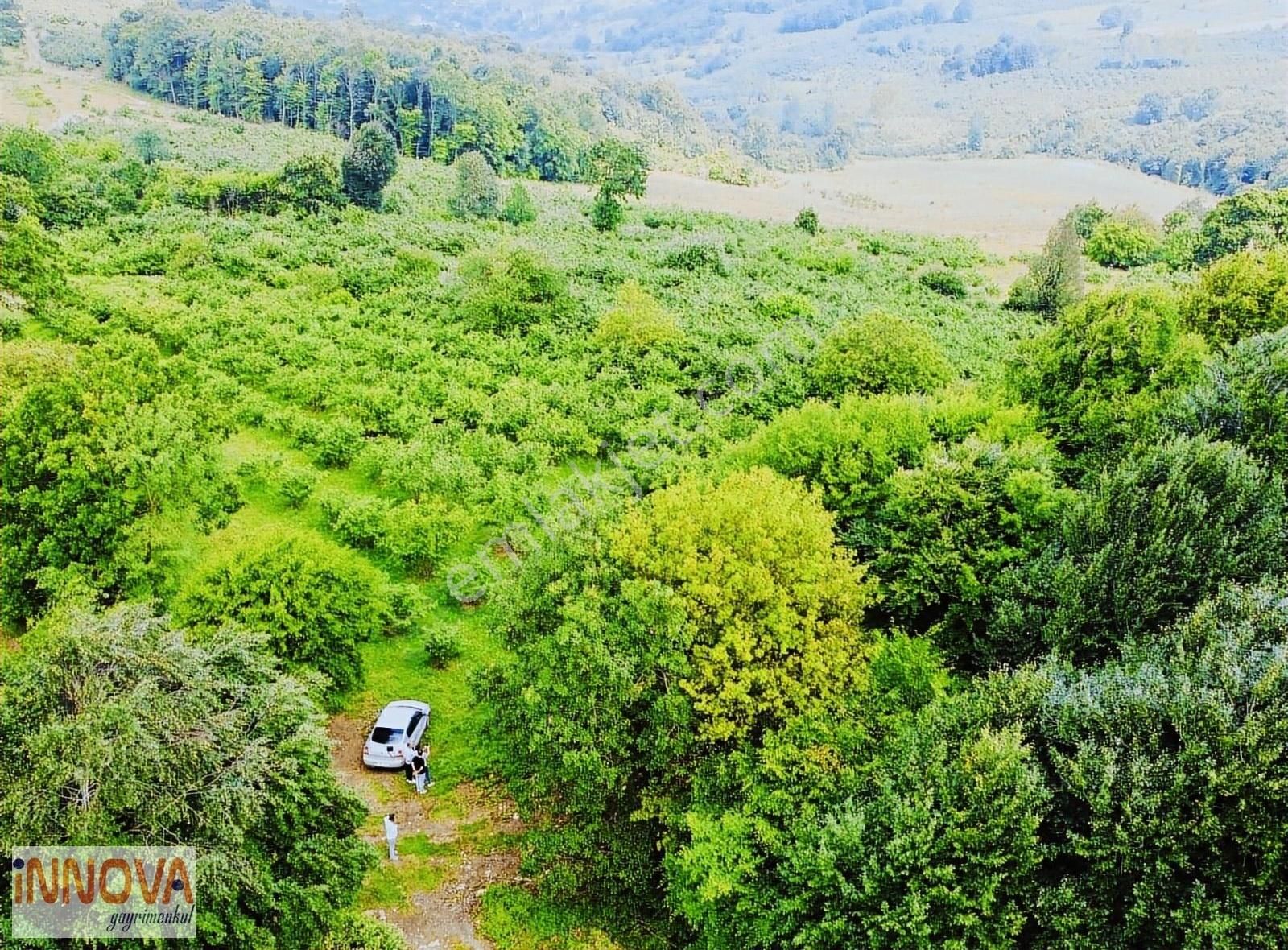 Kandıra Eğirceli %5 İmarlı Fırsat Arsa - Görsel 25