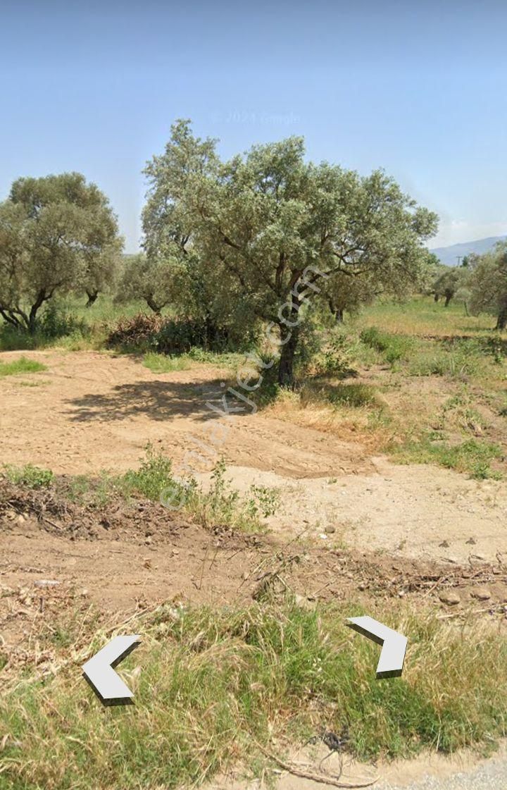 Satılık Arsa - Görsel 5
