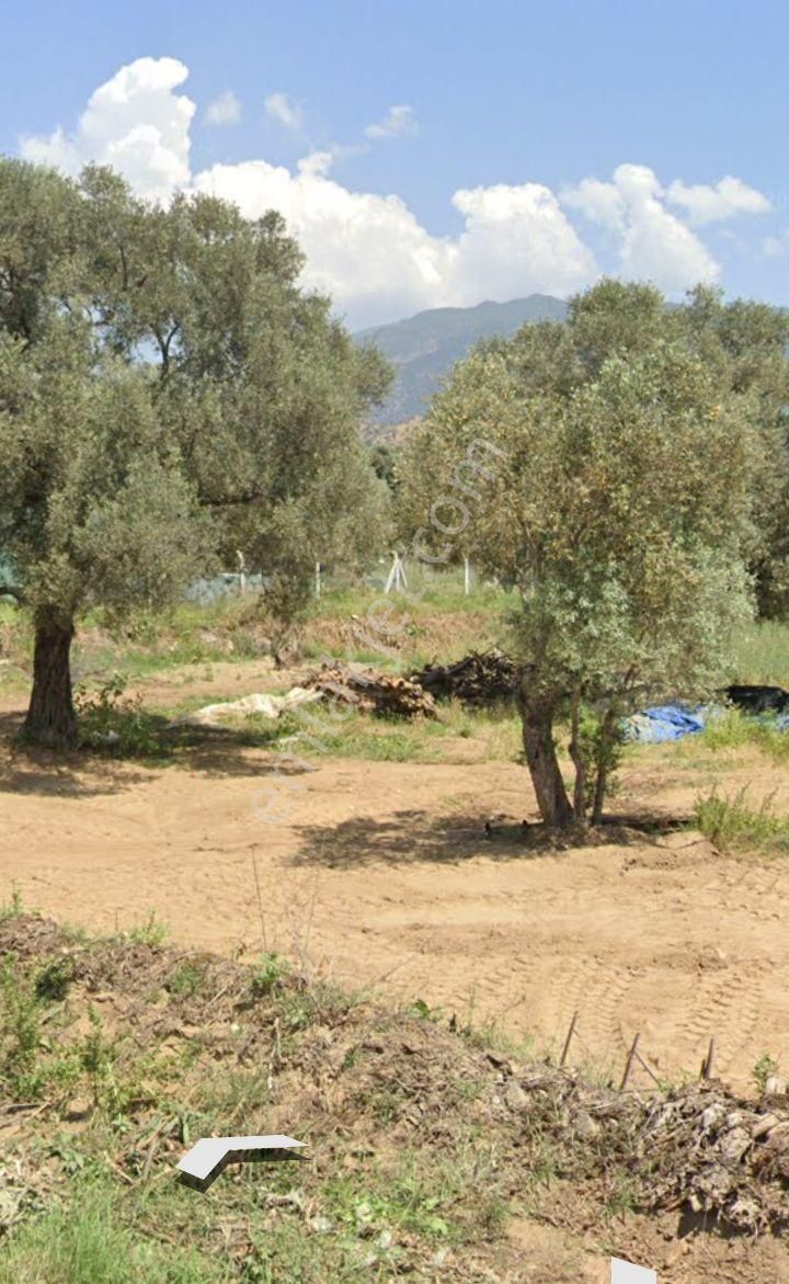Satılık Arsa - Görsel 9