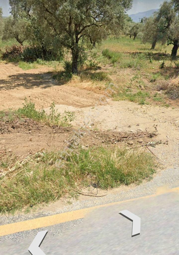 Satılık Arsa - Görsel 7