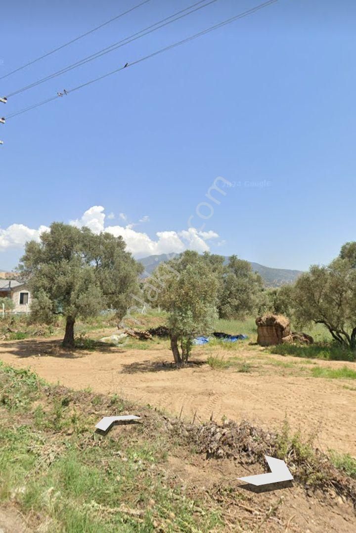 Satılık Arsa - Görsel 6