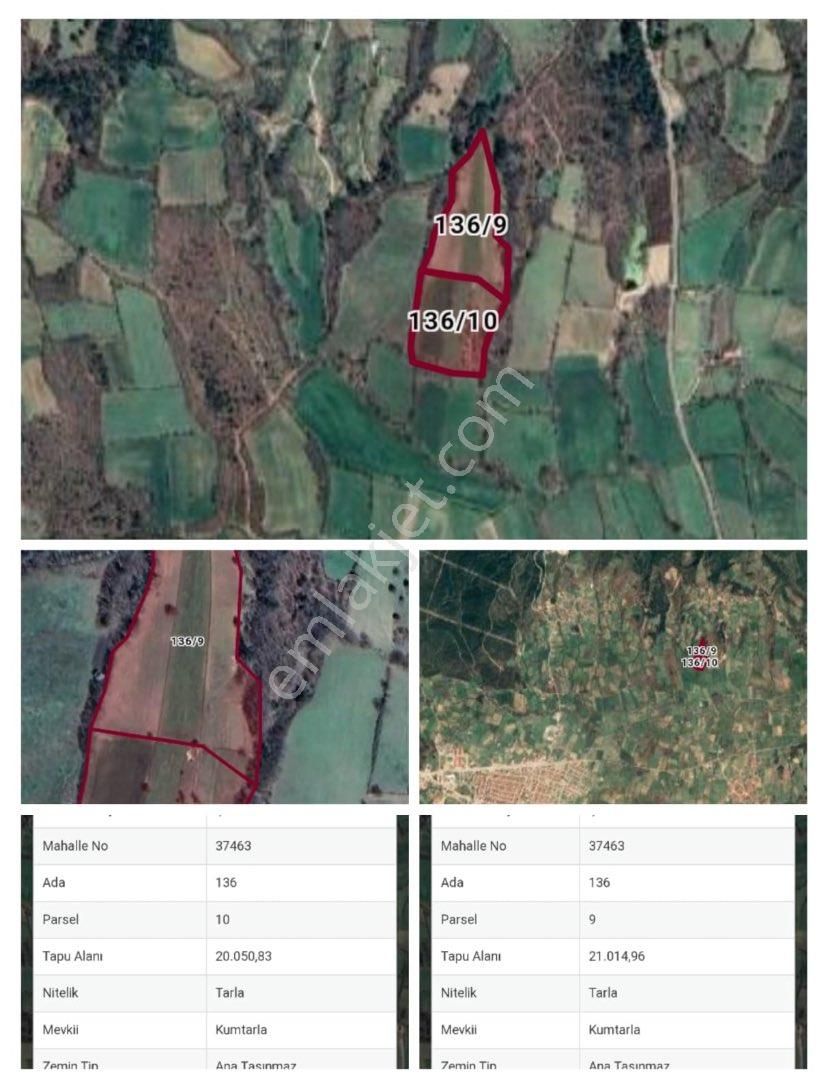 Yenice Çakıroba Köyü Satılık Tarla İKİ PARSELDEN OLUŞAN TOPLAMDA 41 DÖNÜM ARAZİ