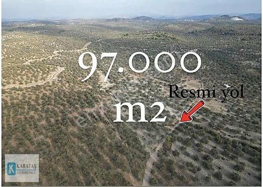 Ayvalık Kazım Karabekir Satılık Zeytinlik AYVALIK'TA İZMİR ASFALTINA 1.5 KM 97 DÖNÜM SATILIK ZEYTİNLİK