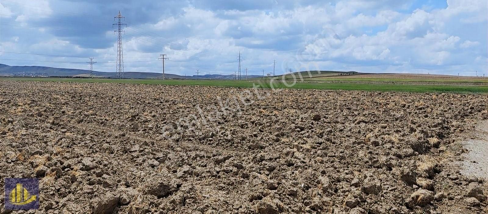 Ayaş Tekke Satılık Tarla Ayaş Tekke Gülören 101 Ada 5 Parselde 2 Dönüm Yatırımlık Hisse