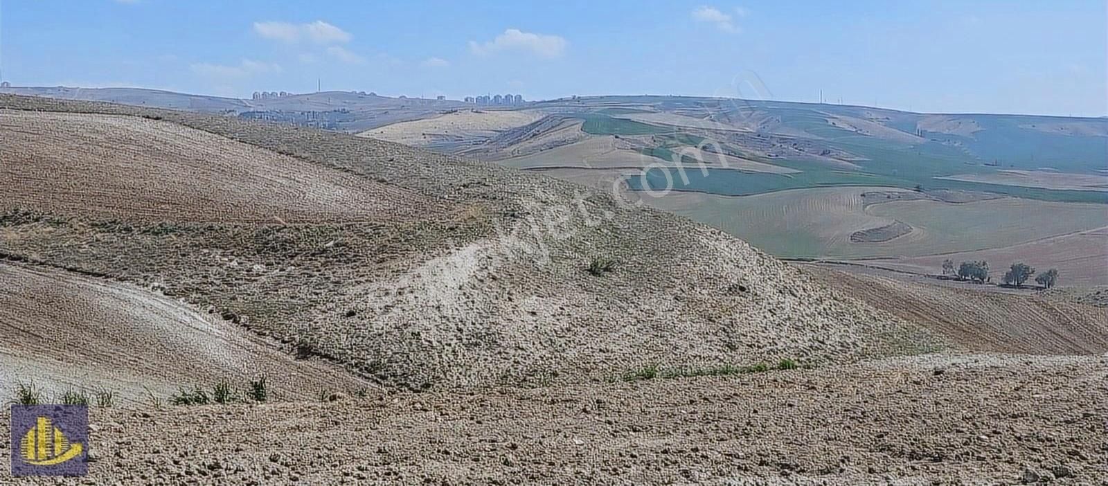 Sincan Polatlar Satılık Tarla Polatlarda İmara 1700 Metre Mesafede Yola Cephe 1295 m² Arazi