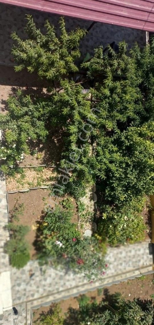 Buruk Da 2+1 2 Katlı Müstakil 385 M2 Arsa - Görsel 13