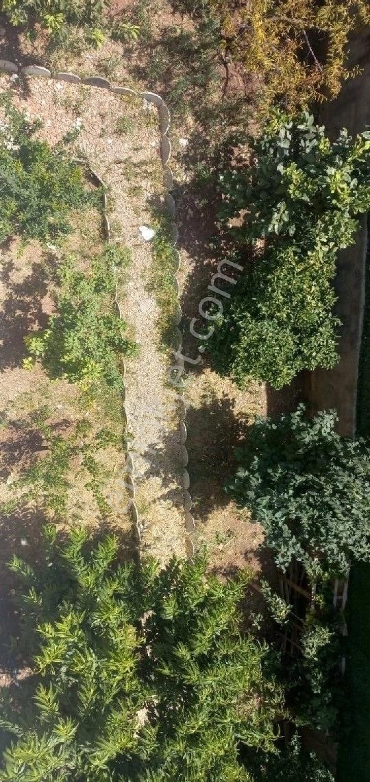 Buruk Da 2+1 2 Katlı Müstakil 385 M2 Arsa - Görsel 4