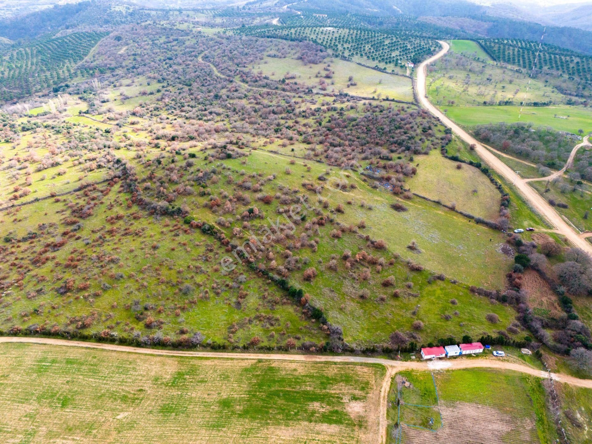 Ezine Yaylacık Köyü Satılık Tarla  ÇANAKKALE EZİNE YAYLACIK' TA TARLA