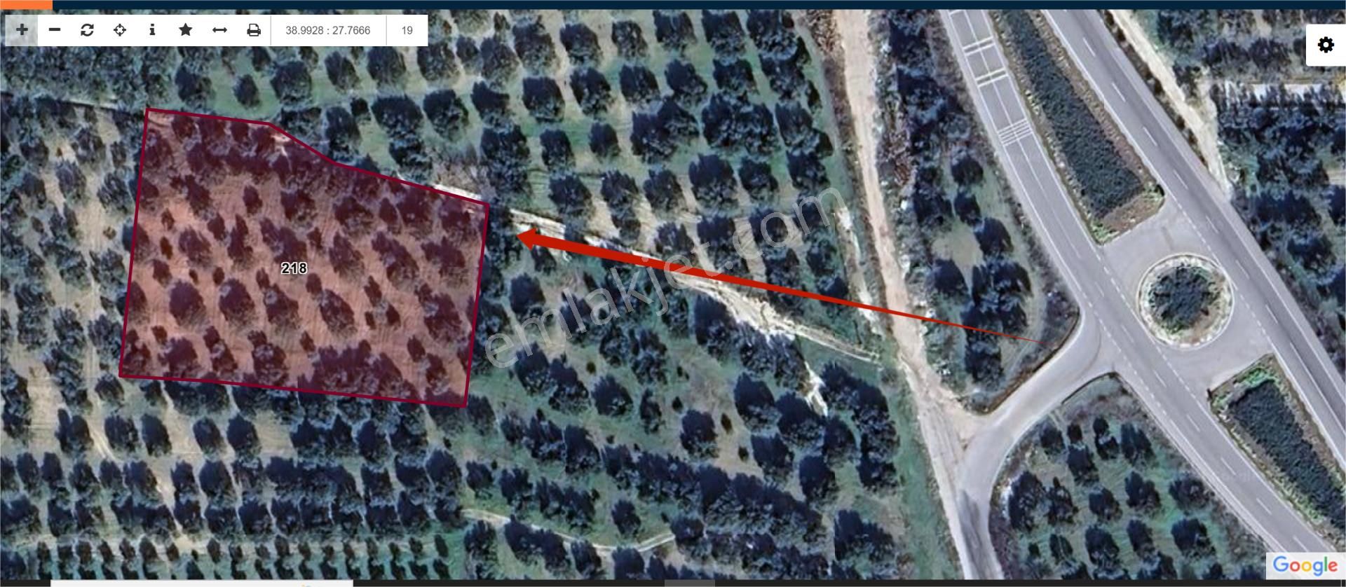 Akhisar Süleymanlı Satılık Zeytinlik  ATLAS GAYRİMENKULDEN SÜLEYMANLI MAH. (4.100m2 SATILIK ZEYTİNLİK)