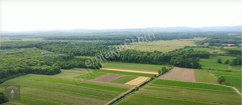 Akyazı Çatalköprü Satılık Tarla Sakarya Çatalköprü Kuzey Marmaraya Yakın Tarla