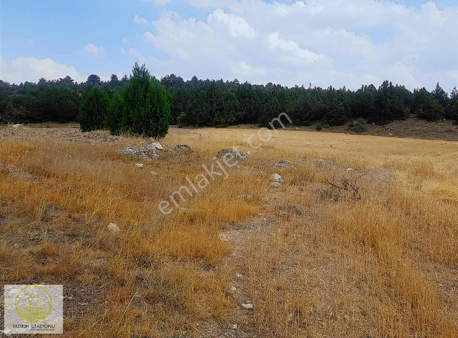 Altıntaş Genişler Köyü Satılık Tarla KÜTAHYA ALTINTAŞ GENİŞLER KÖYÜ SATILIK ARAZİ