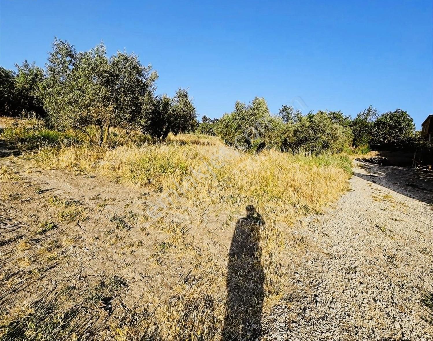 Osmangazi Çağlayan Satılık Tarla Bursa Osmangazi Çağlayan Köyünde Satılık Hobi Bahçeleri