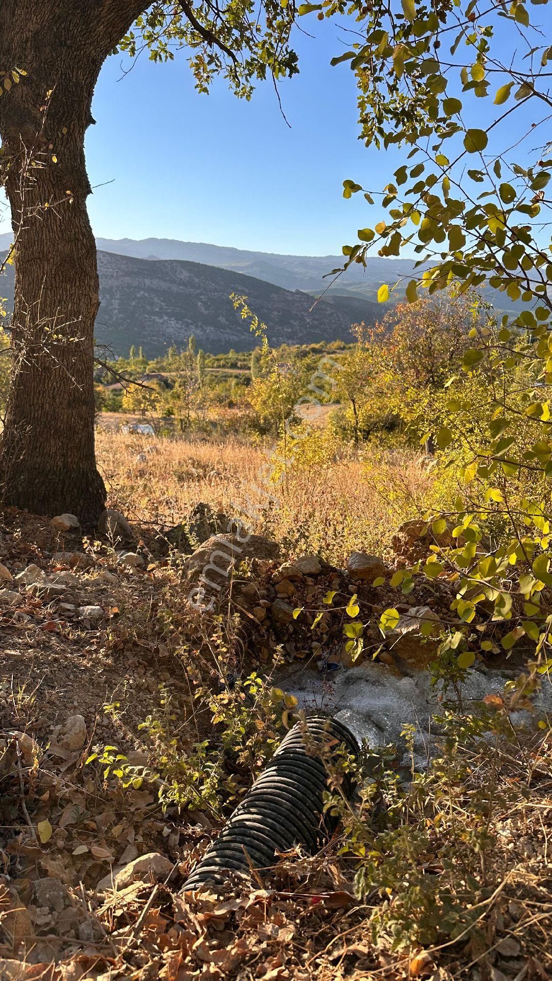 Ermenek Güneyyurt Bld. (Kışlacık) Satılık Tarla imara 300 metre has bahçe