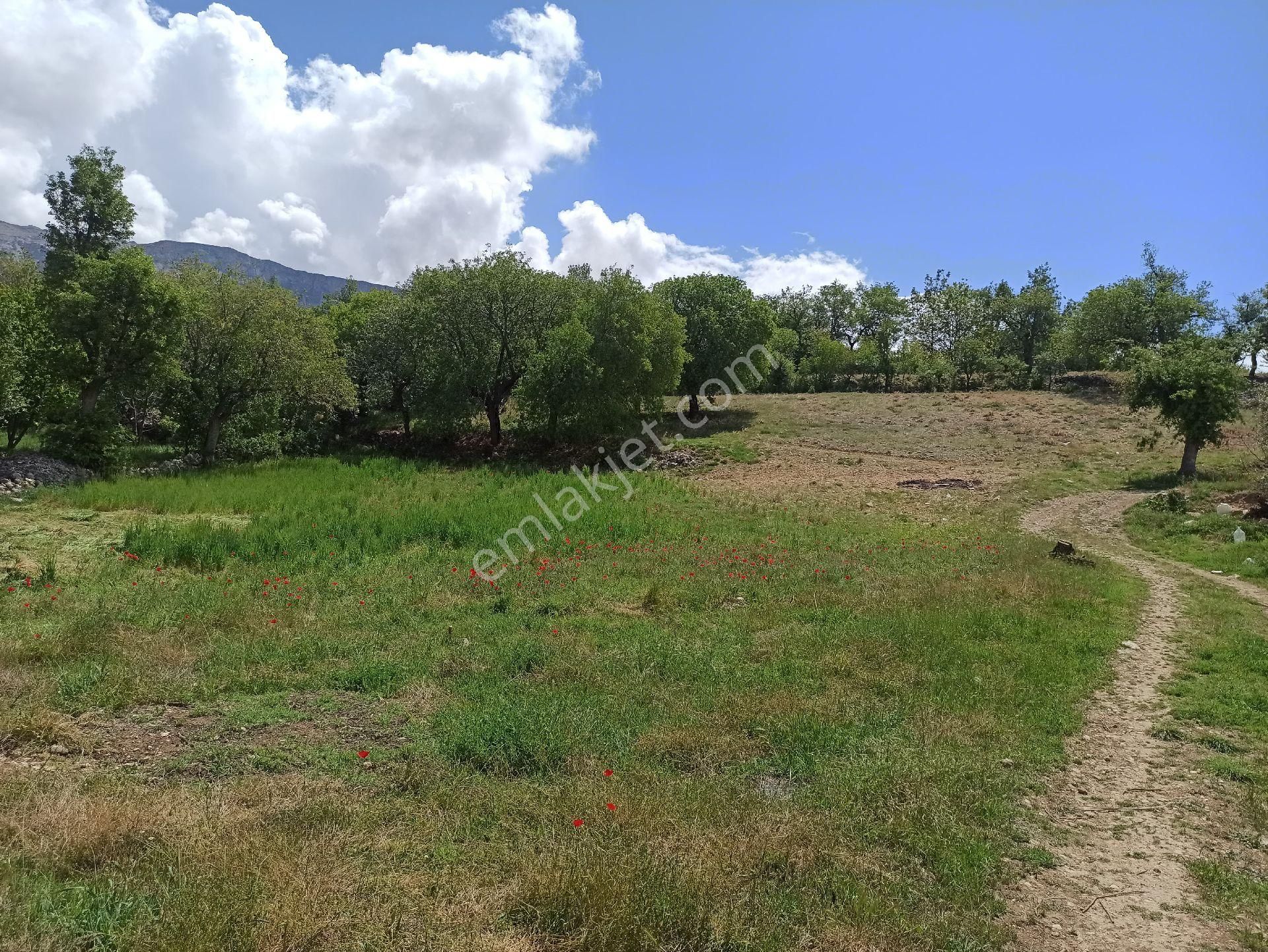 İmara 300 Metre Has Bahçe