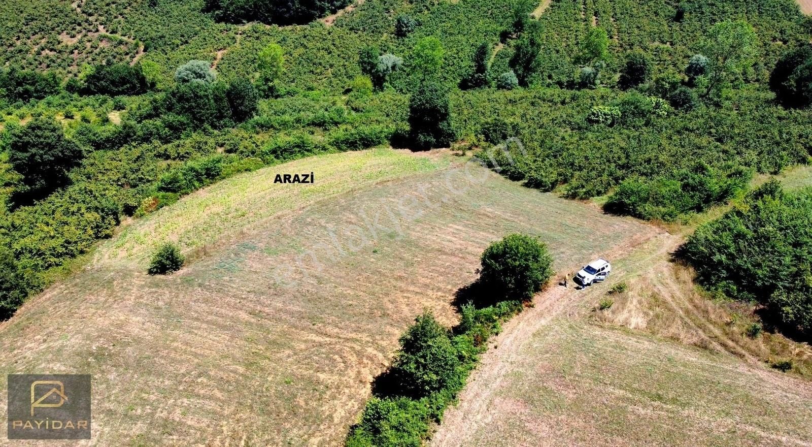 Kandıra Kırkarmut Satılık Tarla KANDIRA İZMİT DUBLE YOLUNA 300 METRE , BÖLGESİNDE BU FİYATA YOK!