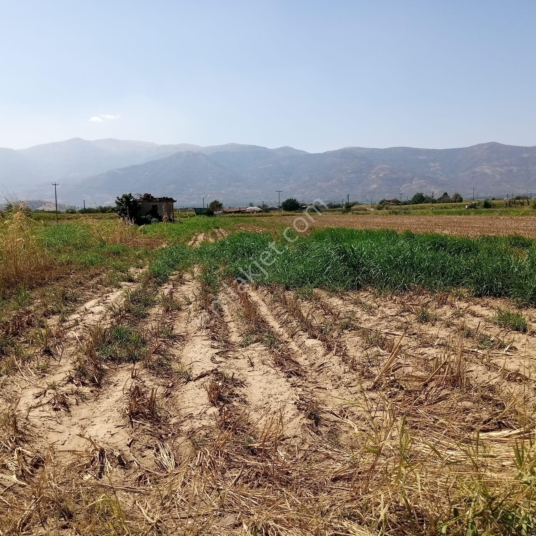 Ovakentte Satılık Uygun Fiyatlı Tarla - Görsel 4