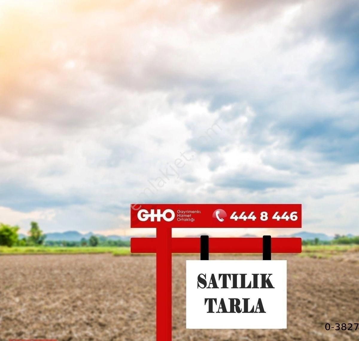 Tavas Horasanlı Satılık Bağ & Bahçe GHO ADALILAR'DAN TAVAS HORASANLI'DA 1423 M2 SATILIK BAĞ