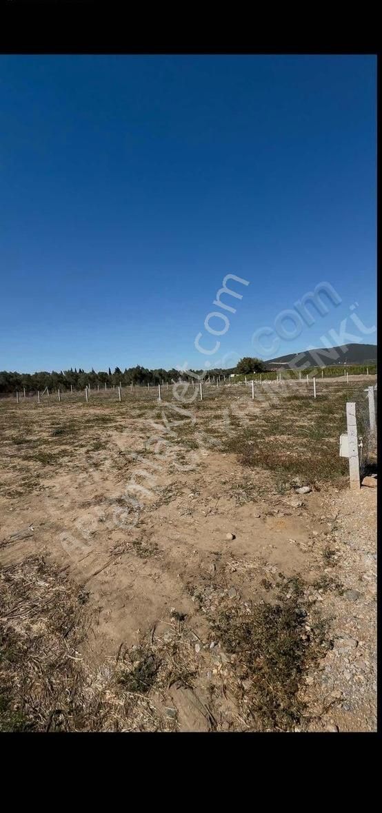 Torbalı Arslanlar Satılık Tarla Torbalı Arslanlar Köyü