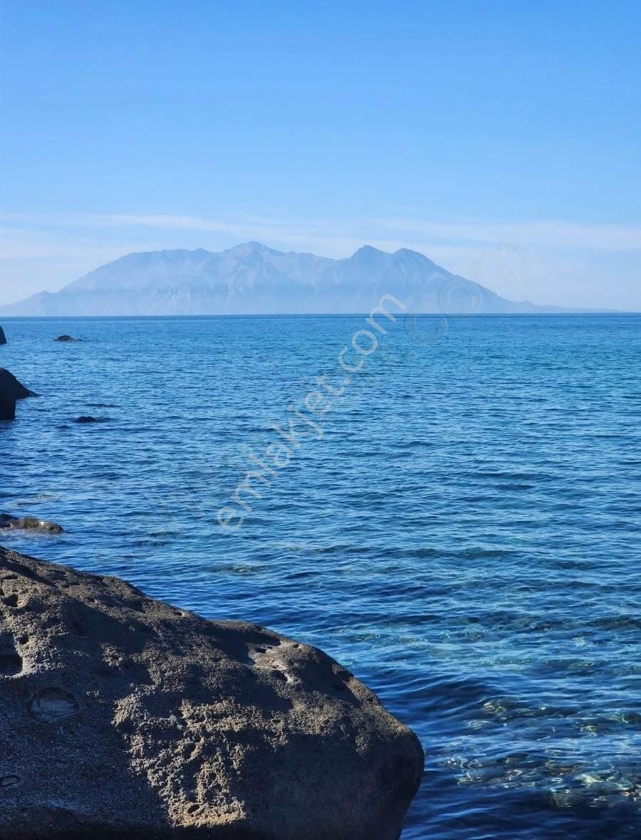 Gökçeada Tepeköy Köyü Satılık Zeytinlik Gökçeada Da Bir Koy Sahibi Olmak İstermisiniz?