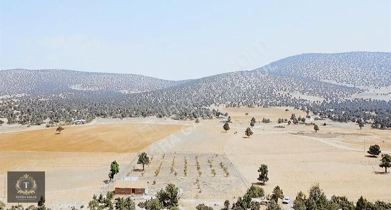 Korkuteli Sımandır Satılık Tarla ORMANLA İÇ İÇE