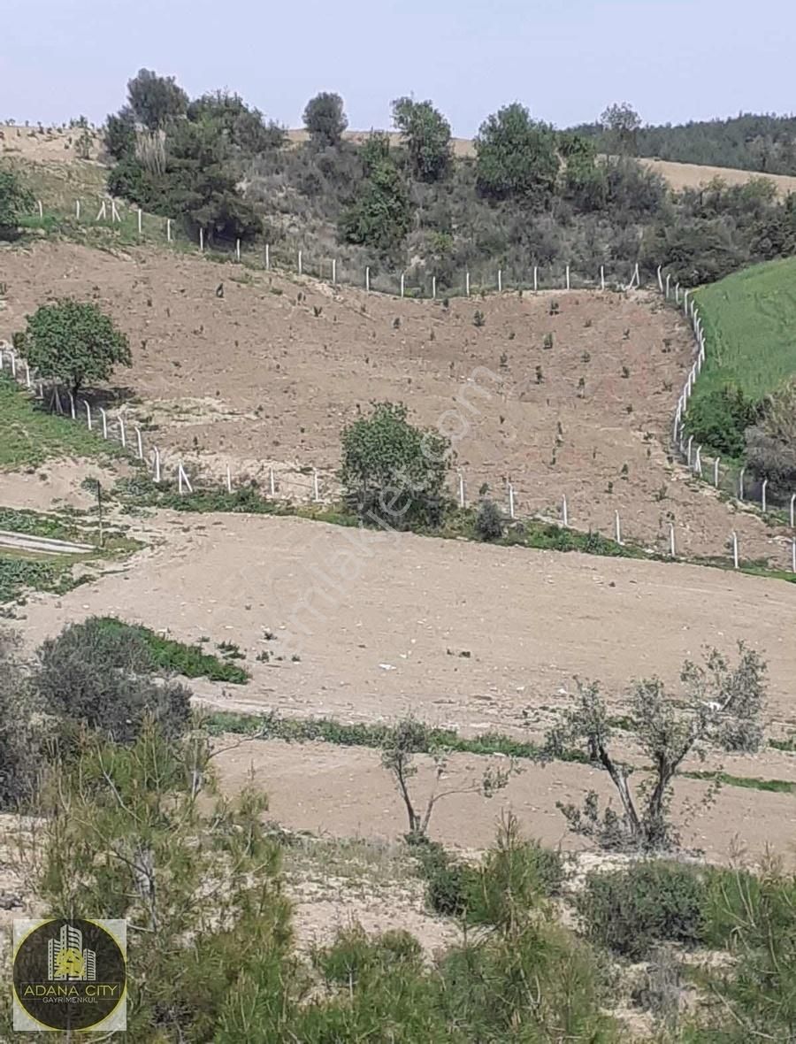 Karaisalı Kuyucu Satılık Tarla KARAİSALIDA TEK TAPU KAÇMAZ YER 120 AĞAÇLI YATIRIMLIK YER