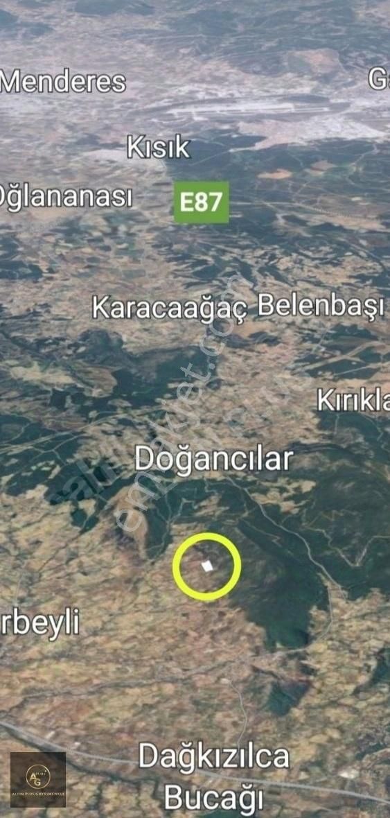 Torbalı Dağkızılca Satılık Zeytinlik Torbalı Dağkızılca'da Kupon Zeytinlik Tarla Toplam 4.327 M2