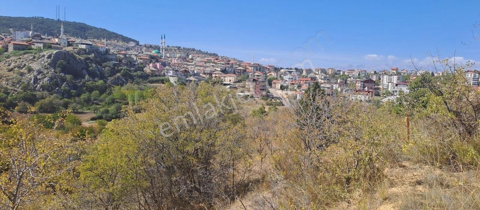 Beyşehir Üzümlü Satılık Tarla Konya Beyşehir Üzümlü De Usanmaz Emlak'tan Satılık Koye Çok Yak