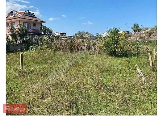 Kocaali Alandere Satılık Villa İmarlı SAKARYA KOCAALİ ALANDA VİLLA İMARLI 168 M2 ARSA