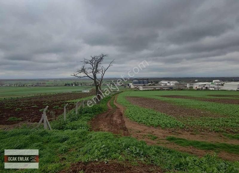 Karacabey Şahinköy Satılık Tarla Şahinköy De Satılık 2062 M2 Fabrikaların Dibi Fırsat Arazi