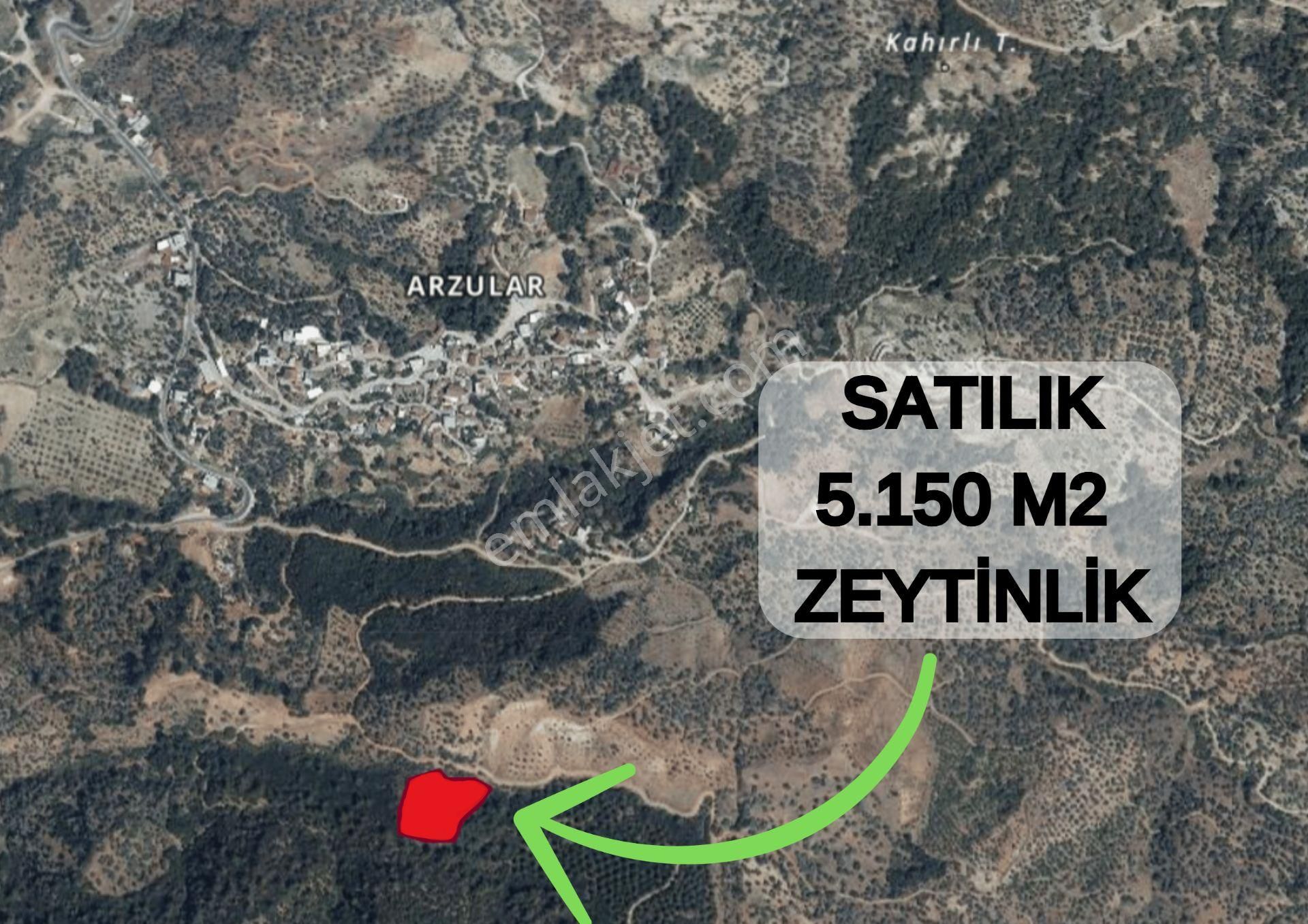 Aydın İncirliova Satılık Zeytinlik  ARZULARDA YATIRIMLIK ZEYTİNLİK 5.150 M2