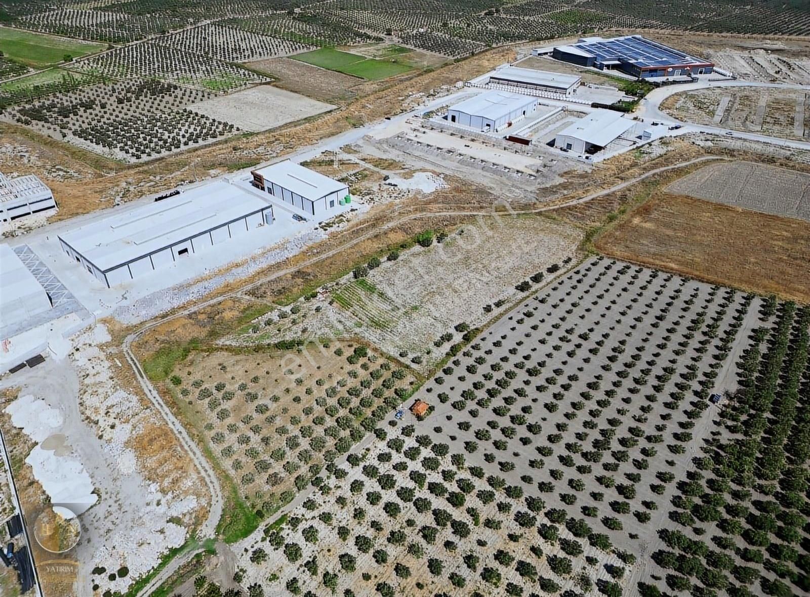 Akhisar Süleymanlı Satılık Tarla Akhisar Süleymanlı Zeytin Osb Bölgesinde Doğru Yatırım Fırsatı.