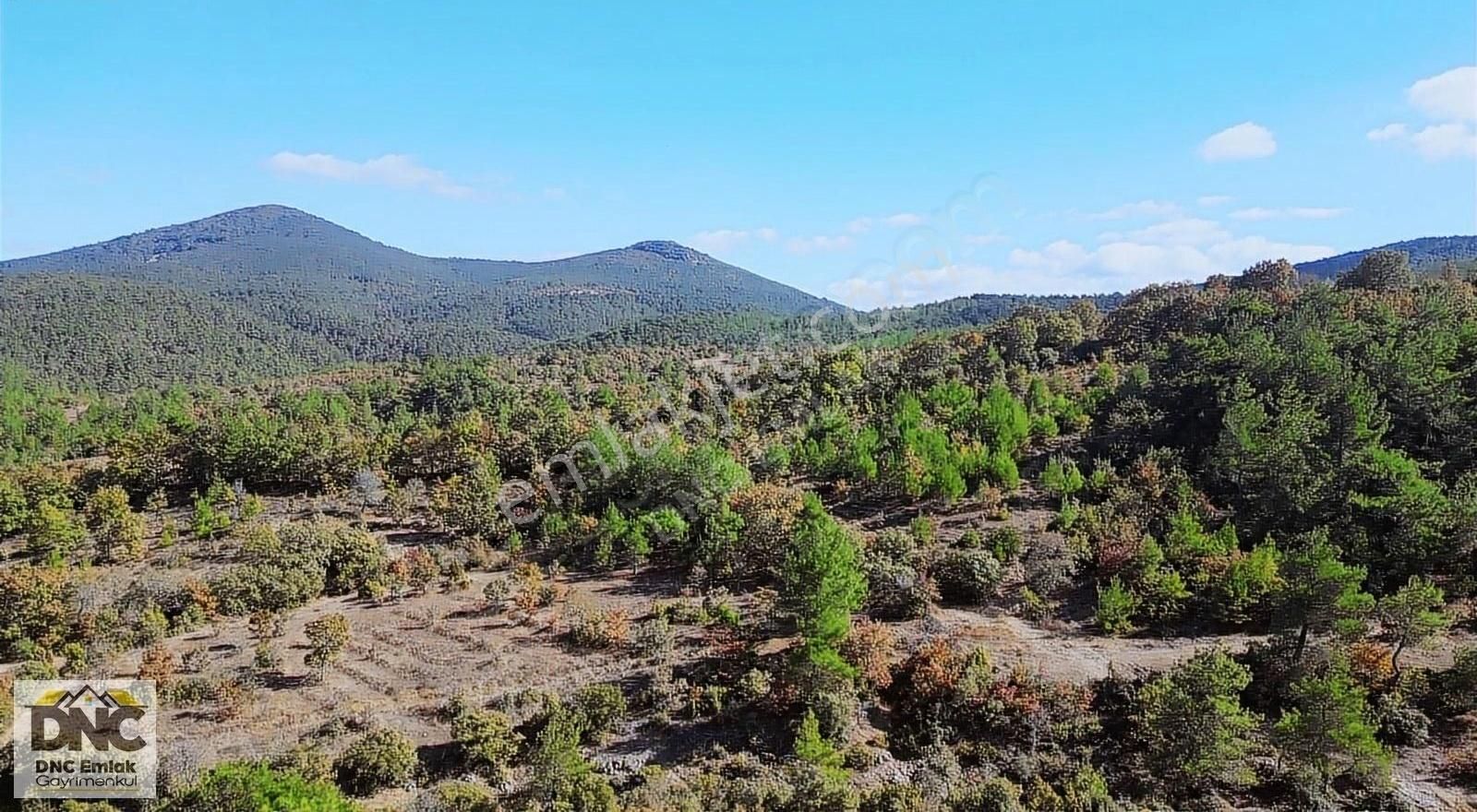 Bayramiç Korucak Köyü Satılık Bağ & Bahçe Çanakkale Bayramiç KORUCAK / SATILIK BAHÇE, Köye Yakın 3600 m2