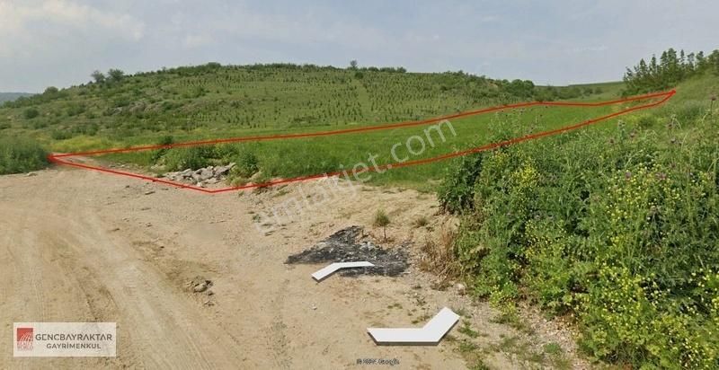 İnegöl Karalar Satılık Tarla BURSA İNEGÖL ALANYURT'TA SATILIK 13.000 M2 TARLA...