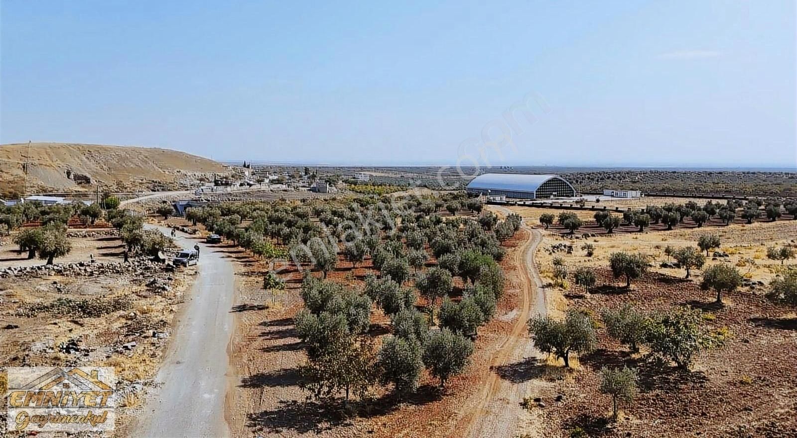 Kilis Merkez Oylum Satılık Zeytinlik EMNİYET GAYRİMENKUL DEN SATLIK BAĞ EVLİK ASFALT ÜZERİ ZEYTİN