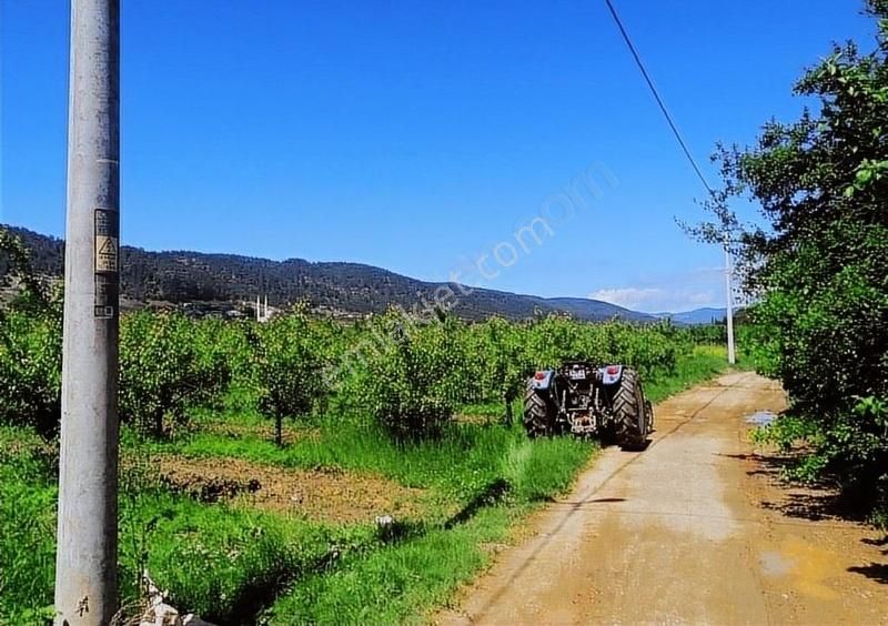 Kestel Gölcük Satılık Tarla Kestel Gölcükte Kadastro Yoluna Cephe Satılık Arazi