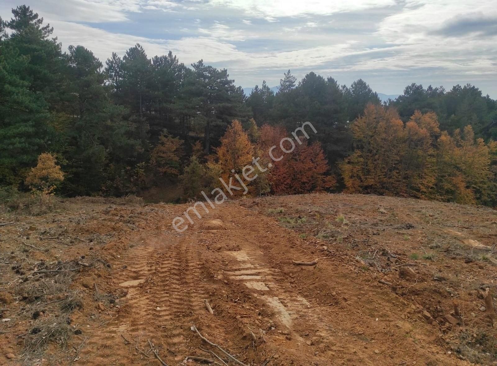 Uludağ Kirazlı' Da 6966 M2 Müstakil Tapu Satılık Arazi - Görsel 5