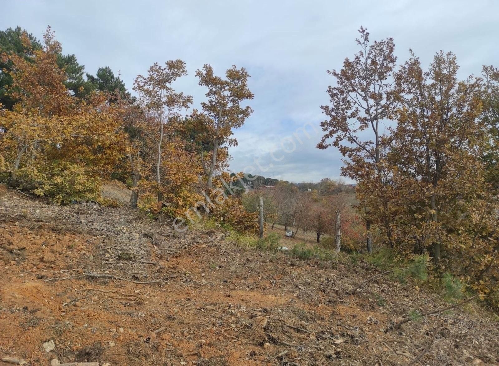 Uludağ Kirazlı' Da 6966 M2 Müstakil Tapu Satılık Arazi - Görsel 6
