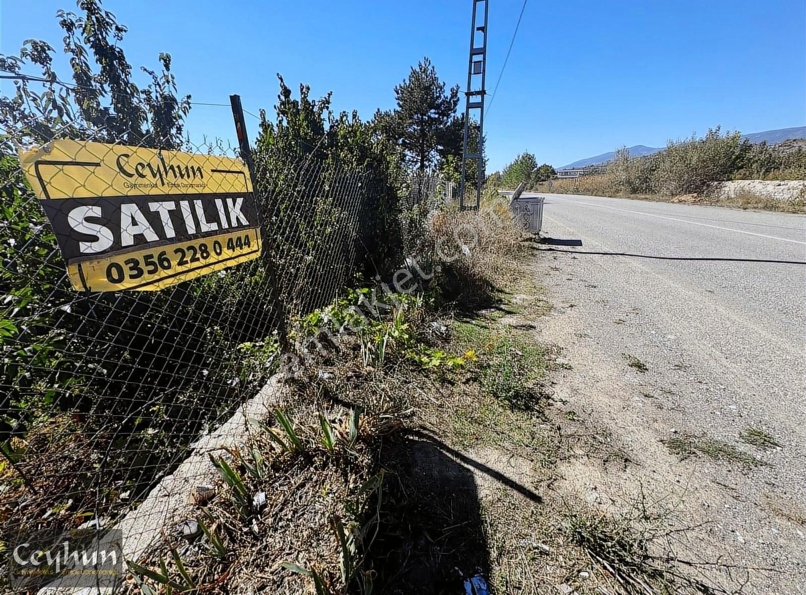 Tokat Merkez Emirseyit Bld. (Bozatalan) Satılık Tarla EMİRSEYİT'TE TEK MÜSTAKİL TAPULU ANA YOLA 1 PARSEL İÇERİDE CEVİZ