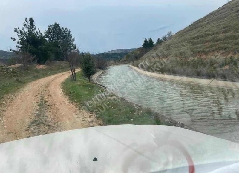 Çal Akkent Satılık Tarla ÇAL AKKENT DE 15 YILLIK 350DEN FAZLA CEVİZ-KİRAZ AĞAÇLI SATILIK