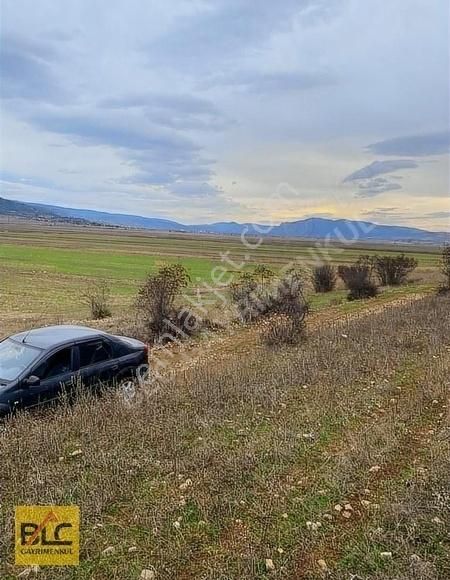 Gölpazarı Kurşunlu Köyü Satılık Tarla GÖLPAZARI KURŞUNLU RESMİ YOLA CEPHELİ YATIRIMA UYGUN TARLA