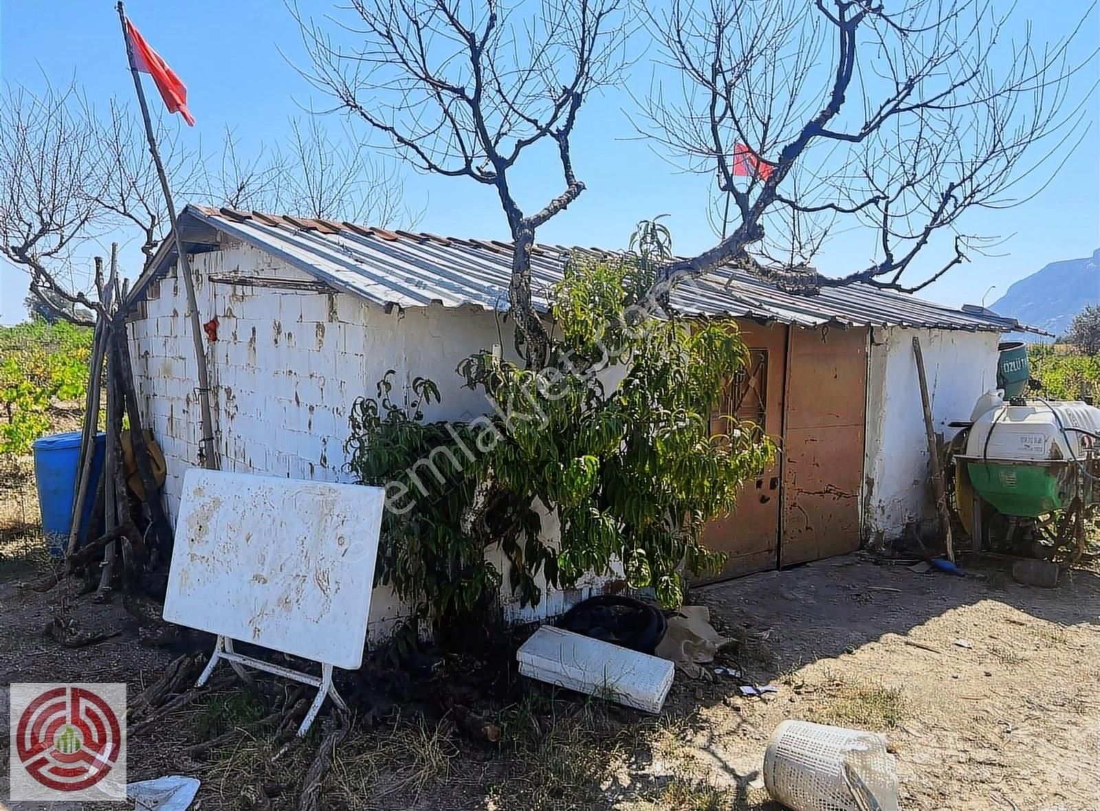 Şehzadeler Yeniharmandalı Satılık Bağ & Bahçe Şehzadeler'de 14.5 Dönüm Üzüm Bağı, Kadastro Yolu Ve Dam Mevcut