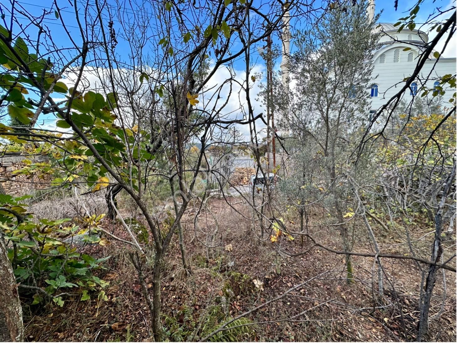 Alanya Karamanlarda Satılık 544 M2 Müstakil Arsa - Görsel 17