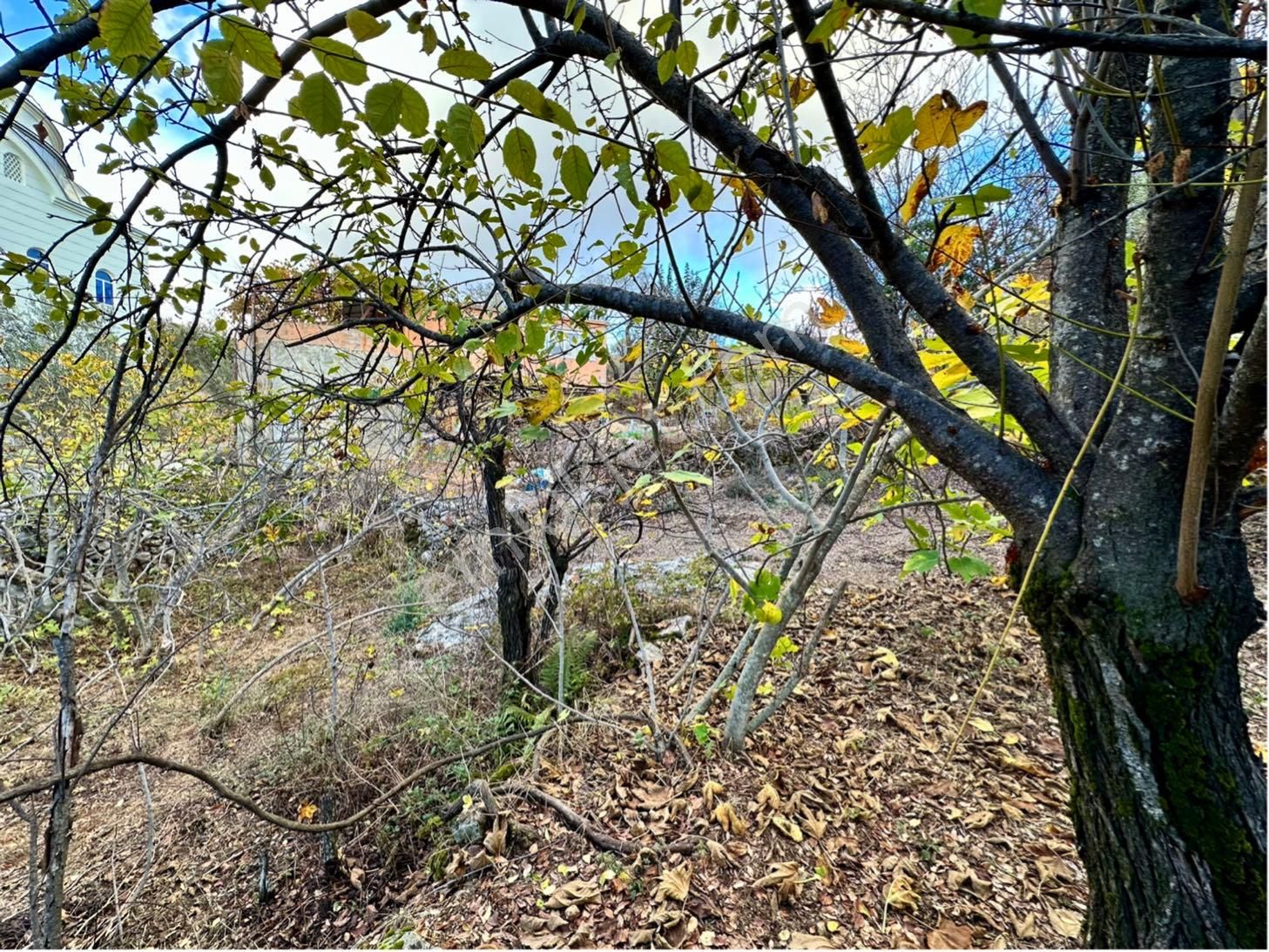 Alanya Karamanlarda Satılık 544 M2 Müstakil Arsa - Görsel 18