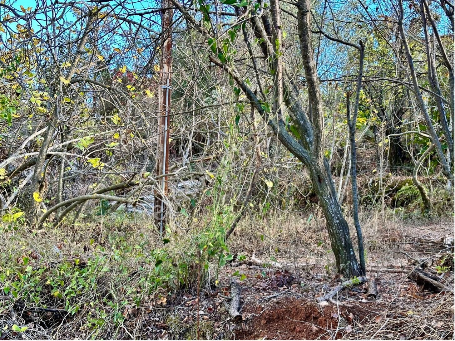 Alanya Karamanlarda Satılık 544 M2 Müstakil Arsa - Görsel 27