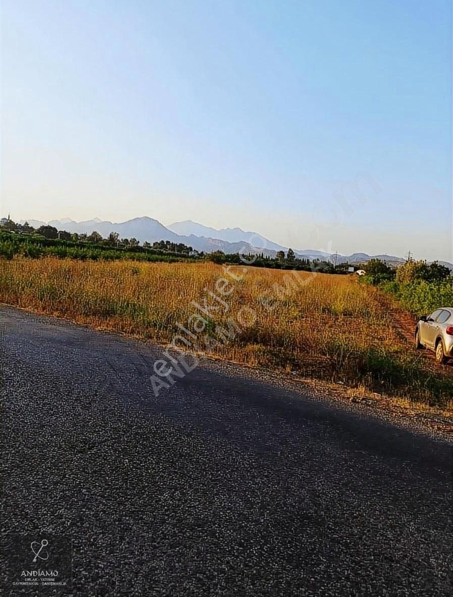 Serik Üründü Satılık Tarla Üründü Yol Üzeri 9 Dönüm