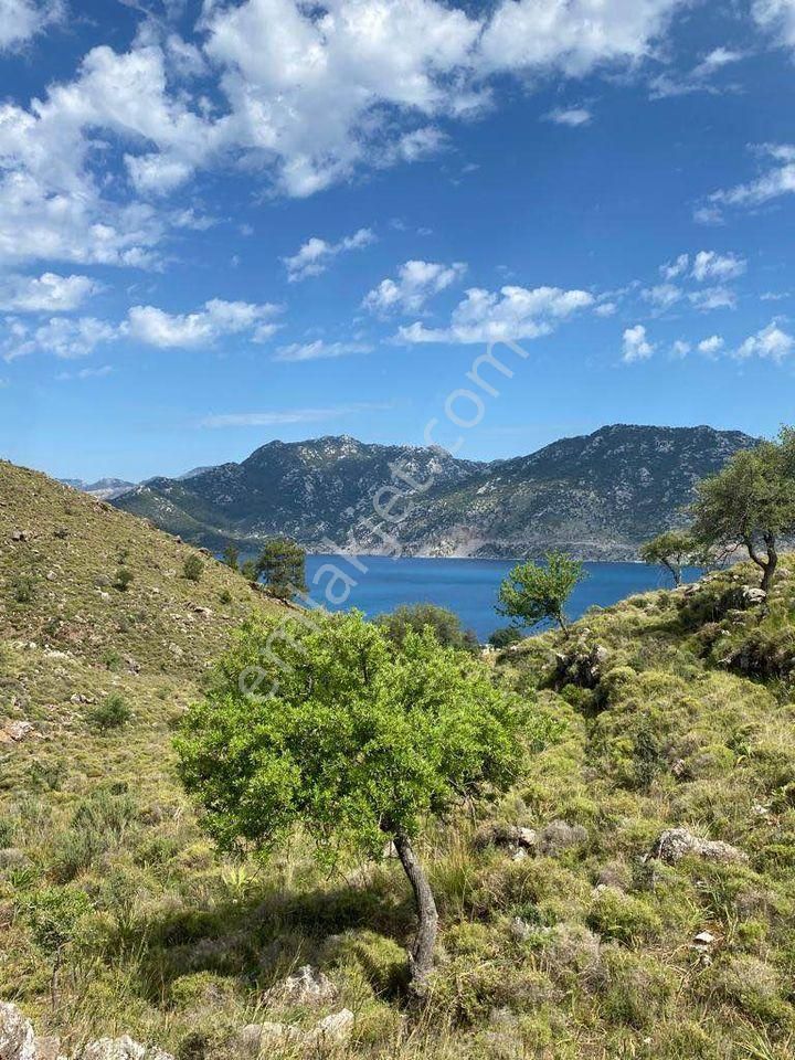 Marmaris Selimiye Satılık Tarla  Eval Emlak'tan Satılık Deniz Manzaralı ve Denize 450mt Tek Tapu Tarla – Muğla Marmaris Selimiye