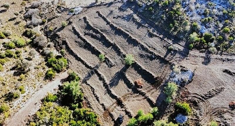 Karaburun Eğlenhoca Satılık Tarla Karaburun Eglenhocada 325 M2 Hobi Bahceleri