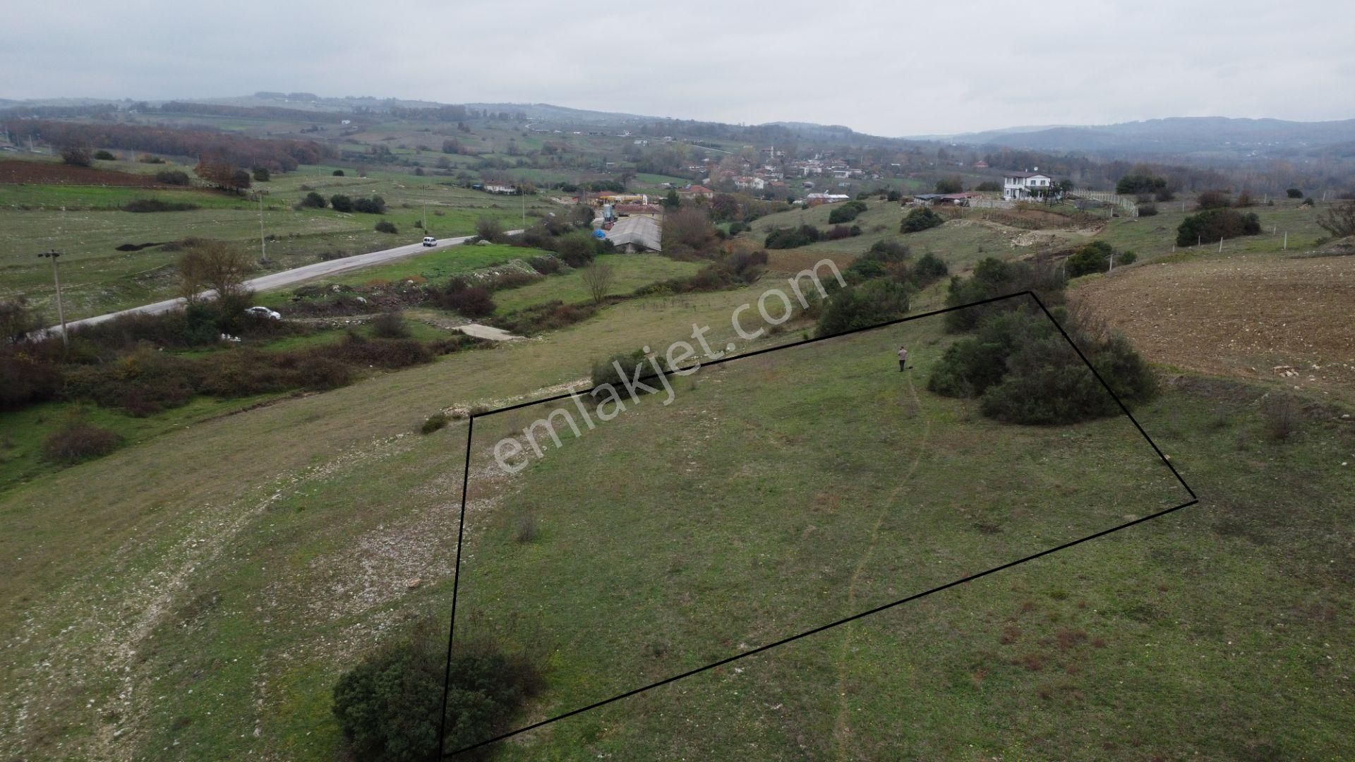 Kandıra Şerefsungur Satılık Tarla  ŞEREFSUNGURDA 1435M2 ASFALTA 30 METRE MESAFEDE %5 İMARLI TARLA